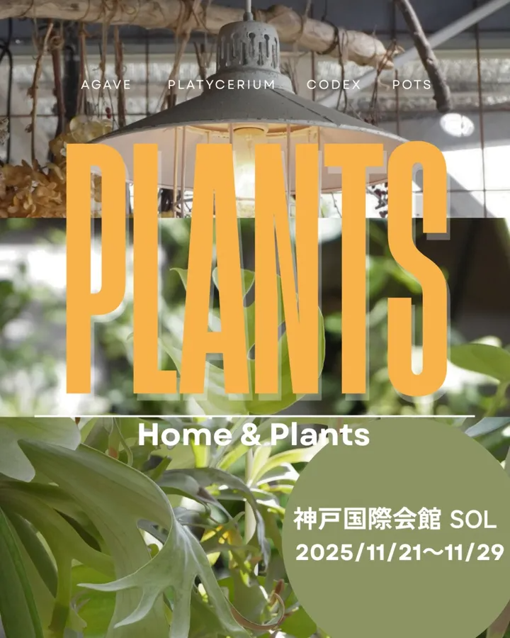 PLANTSが神戸国際会館SOLでポップアップを開催、Home&Plantsとビカクモノの植物イベントが神戸の観葉植物ファンを集める