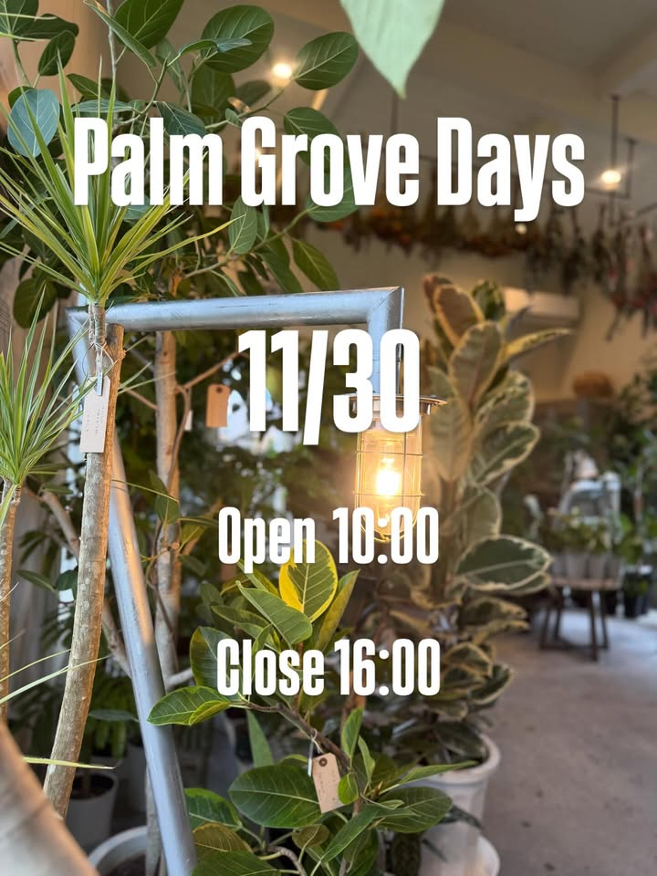Palm Grove Days 2025がThe.Ru.Gate Gardenで100本以上のヤシの木展示販売イベントを開催、リゾートガーデン提案と飲食出店が来場者の関心を集める