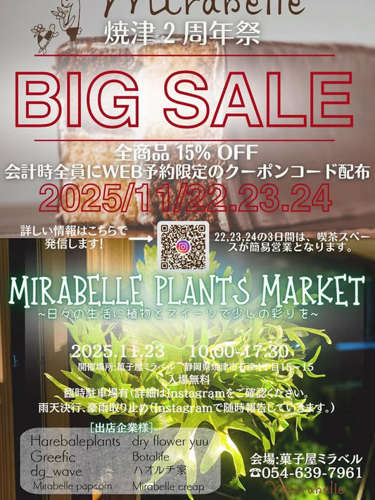 菓子屋ミラベルが焼津2周年祭BIGSALE&PLANTSMARKETを開催、植物とスイーツが融合する地域型イベントが焼津の注目を集める