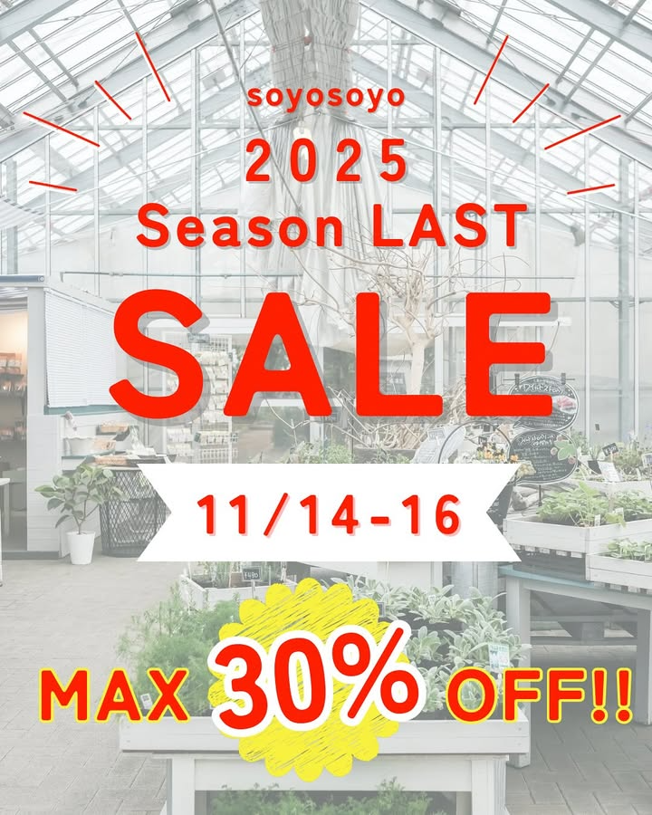 ナチュラルマルシェソヨソヨがsoyosoyo 2025 Season LAST SALEを開催、ハーブ苗と雑貨のラストセールが池田町のガーデンファンの注目を集める