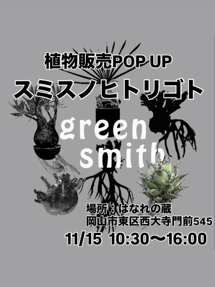 green smithがスミスノヒトリゴトを開催、はなれの蔵で潅木やアガベ中心の単独POP UPが岡山の植物愛好家の注目を集める