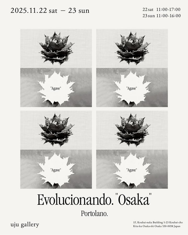 PortolanoがPortolanoEvolucionandoを開催、大阪uju galleryでAGAVEOTEROI中心のアガベイベント2025が関西の植物愛好家の関心を集める
