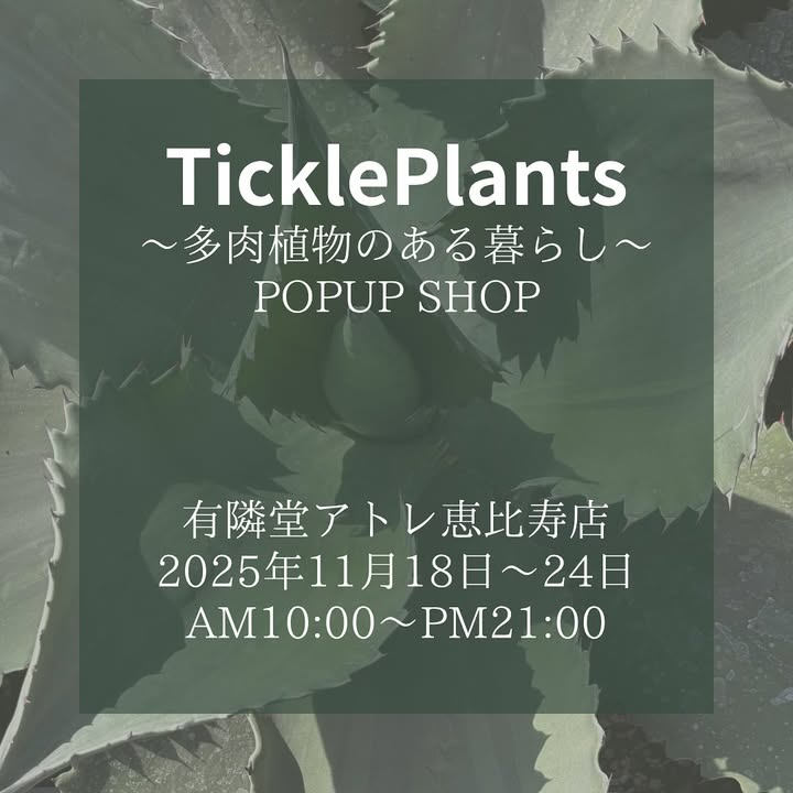 TicklePlantsが多肉植物のある暮らしPOPUPSHOPを有隣堂アトレ恵比寿店で開催、2025年11月の東京恵比寿で多肉植物と珍奇植物の魅力を伝える
