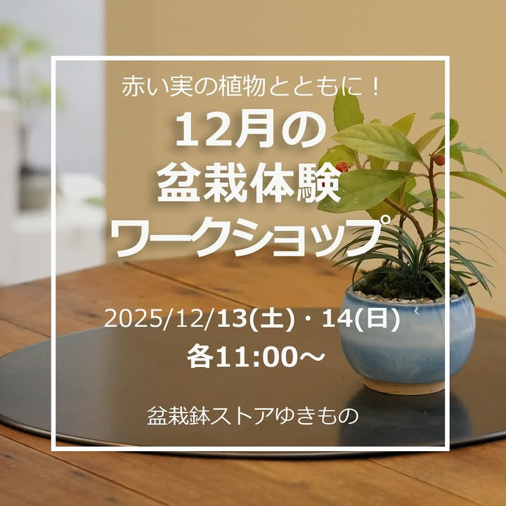 盆栽鉢ストアゆきものが赤い実の植物とともに12月の盆栽体験ワークショップを開催、初心者向け少人数講座が荻窪で盆栽入門に貢献