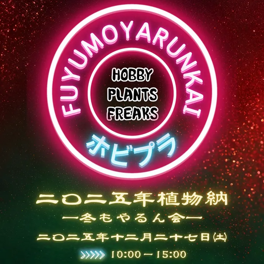 ホビプラ2025年植物納冬もやるん会がナガサコファームで開催、塊根植物とアガベ販売の年末イベントが中国地方の植物ファンの注目を集める