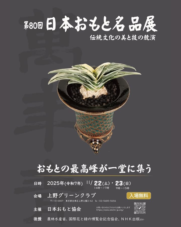 第80回日本おもと名品展2025が上野グリーンクラブで開催、日本おもと協会と有吉園芸の企画が万年青文化の魅力を発信