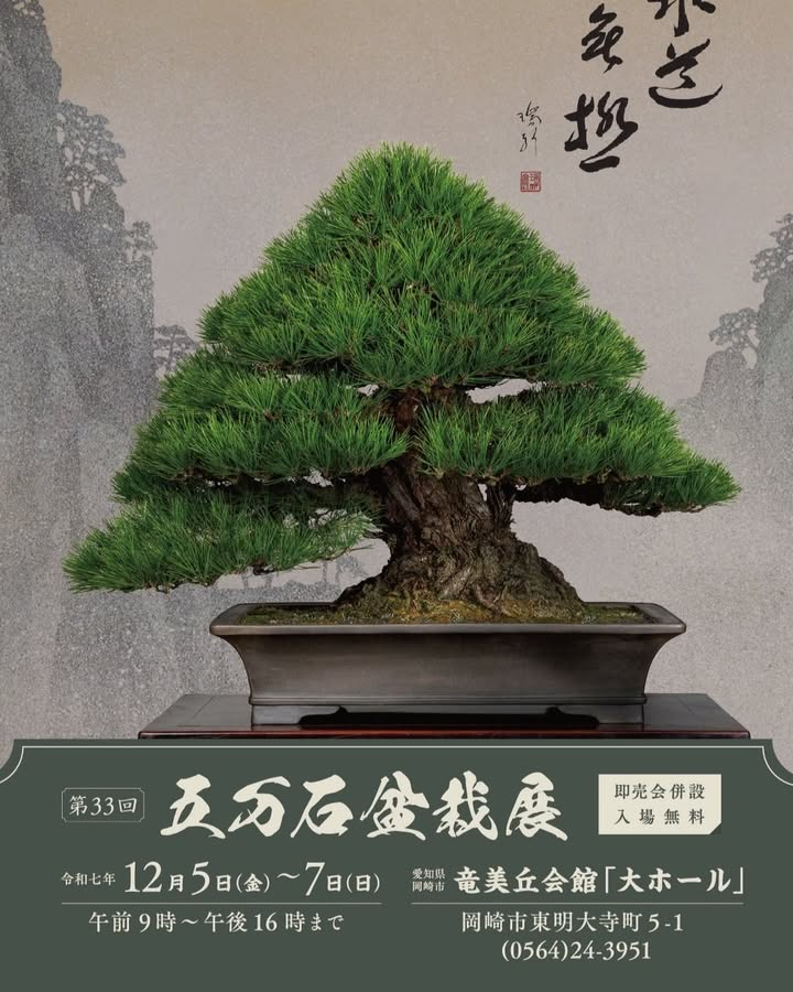 五万石盆栽展2024が岡崎竜美丘会館大ホールで開催、高水準の盆栽展示と入場無料の即売会が盆栽愛好家の注目を集める