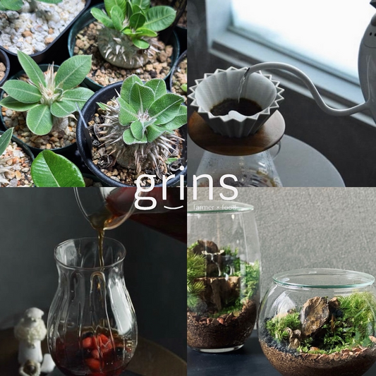 garageTOYOHASHIがgrins 2025を開催、ボタらいふとタスメットとメグリナの共演が植物と珈琲の体験型イベントとして注目を集める