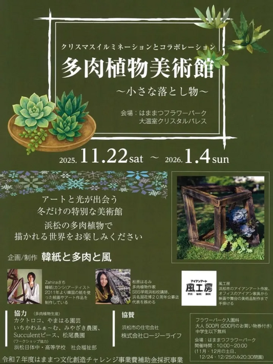 多肉植物美術館2025-2026小さな落とし物をはままつフラワーパーク大温室クリスタルパレスで開催、多肉と韓紙アートとアイアン作品が静岡の冬の温室に立体的な世界観を描く