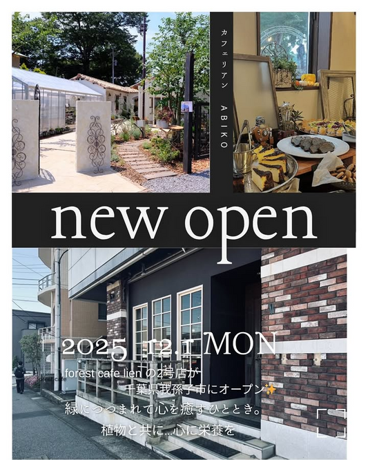 cafe lienがオープン記念で多肉植物雑貨SALEと寄せ植えワークショップを開催、我孫子市柴崎台の新カフェが多肉植物ファンの交流拠点に