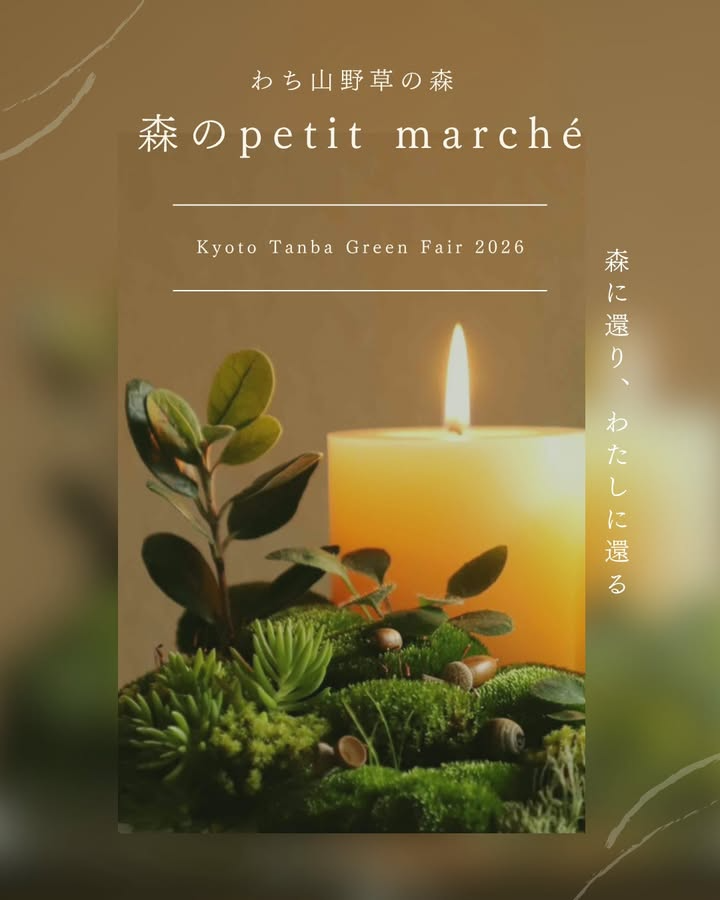 森のpetit marché2025プレイベントがわち山野草の森で開催、全国都市緑化フェアin京都丹波の1年前イベントとして自然と食と芸術の豊かさを伝える
