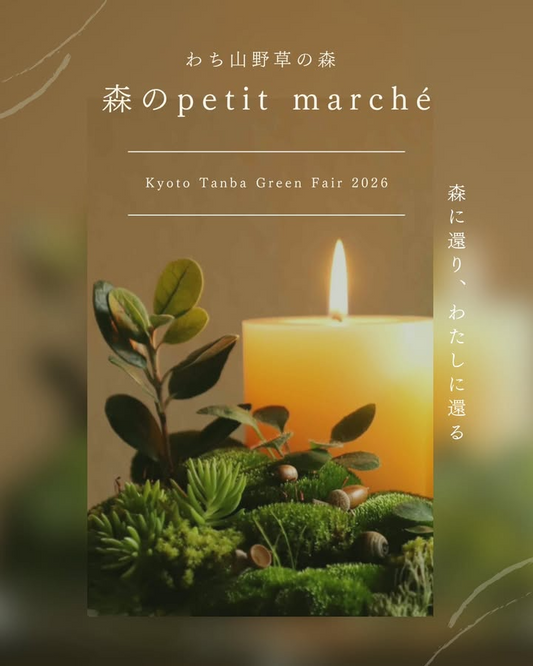 森のpetit marché2025プレイベントがわち山野草の森で開催、全国都市緑化フェアin京都丹波の1年前イベントとして自然と食と芸術の豊かさを伝える