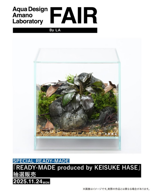 ADA LAB TOKYOがADA LAB FAIR By LA 2025を開催、大丸東京店でREADY-MADEとJUNGLE PLANTSが抽選販売に