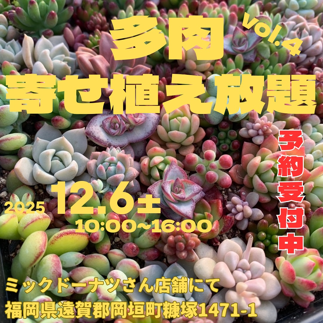 多肉寄せ植え放題2025がミックドーナツ駐車場でワークショップを開催、多肉寄せ植え体験とドーナツ特典が岡垣町で植物ファンの注目を集める