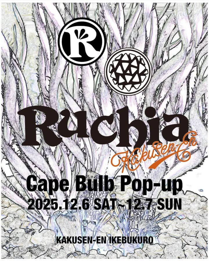 鶴仙園池袋店がRuchia Cape Bulb POP-UP 2025を開催、冬型ケープバルブの魅力が池袋の屋上に集結