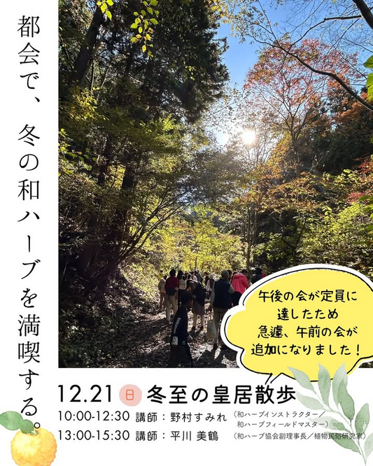 冬至の和ハーブ散歩＠皇居東御苑2025を和ハーブ協会が実施、皇居東御苑で冬の和ハーブ文化に触れる機会に