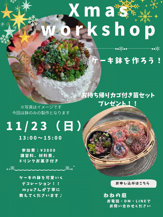ねねの庭がXmas workshopケーキ鉢を作ろう2025を開催、モルタル製ケーキ鉢づくり体験がガーデン雑貨好きの注目を集める