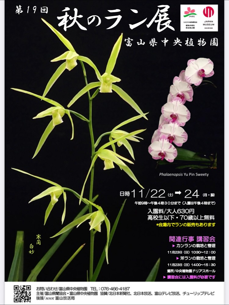 富山県中央植物園が第19回秋のラン展2025を開催、香り高いカンランと洋ラン展示が北陸の蘭愛好家の注目を集める