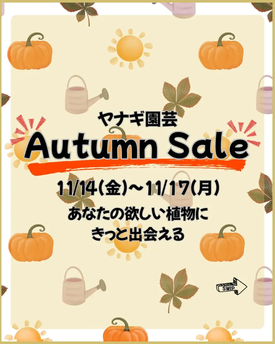 ヤナギ園芸がAutumn Saleを開催、お花苗や多肉など秋の感謝セールが岐阜県垂井町の園芸愛好家の需要に応える