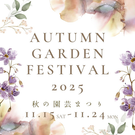 花夢館神戸店がAUTUMNGARDENFESTIVAL2025秋の園芸まつりを開催、岐阜のガーデンファンにお得な苗と球根が集結