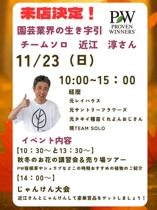近江淳が秋冬のお花の講習会と売り場ツアー2025を実施、アカツカFFCパビリオンでPWシリーズの宿根草とシュラブ活用術を解説