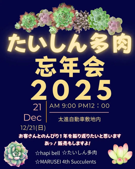 たいしん多肉 忘年会 2025が太進自動車工業所で合同福袋販売とチマチマ寄せ植えWSを開催し多肉植物ファンの年末交流の場になる