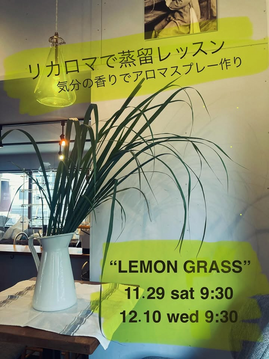 理科室蒸留所がリカロマで蒸留ワークショップ2025を開催、レモングラス芳香蒸留水とアロマスプレー作りが自家蒸留入門に役立つ機会に