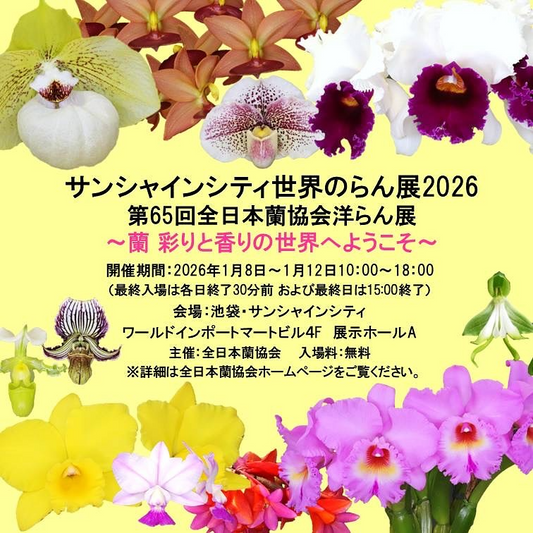 全日本蘭協会がサンシャインシティ世界のらん展2026を開催、池袋で第65回全日本蘭協会洋らん展による洋ラン展示販売と講演会が新年の蘭文化に貢献