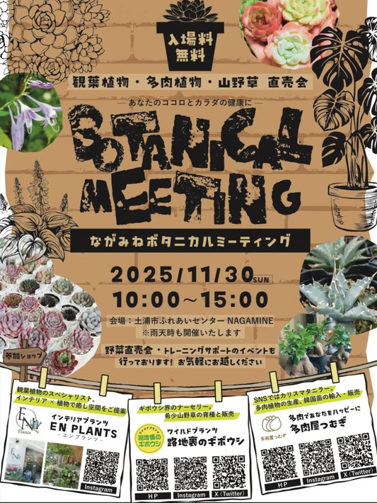 BOTANICAL MEETING 2025が土浦市ふれあいセンターNAGAMINEで観葉植物多肉植物山野草の直売会を開催し地域の植物愛好家の関心を集める