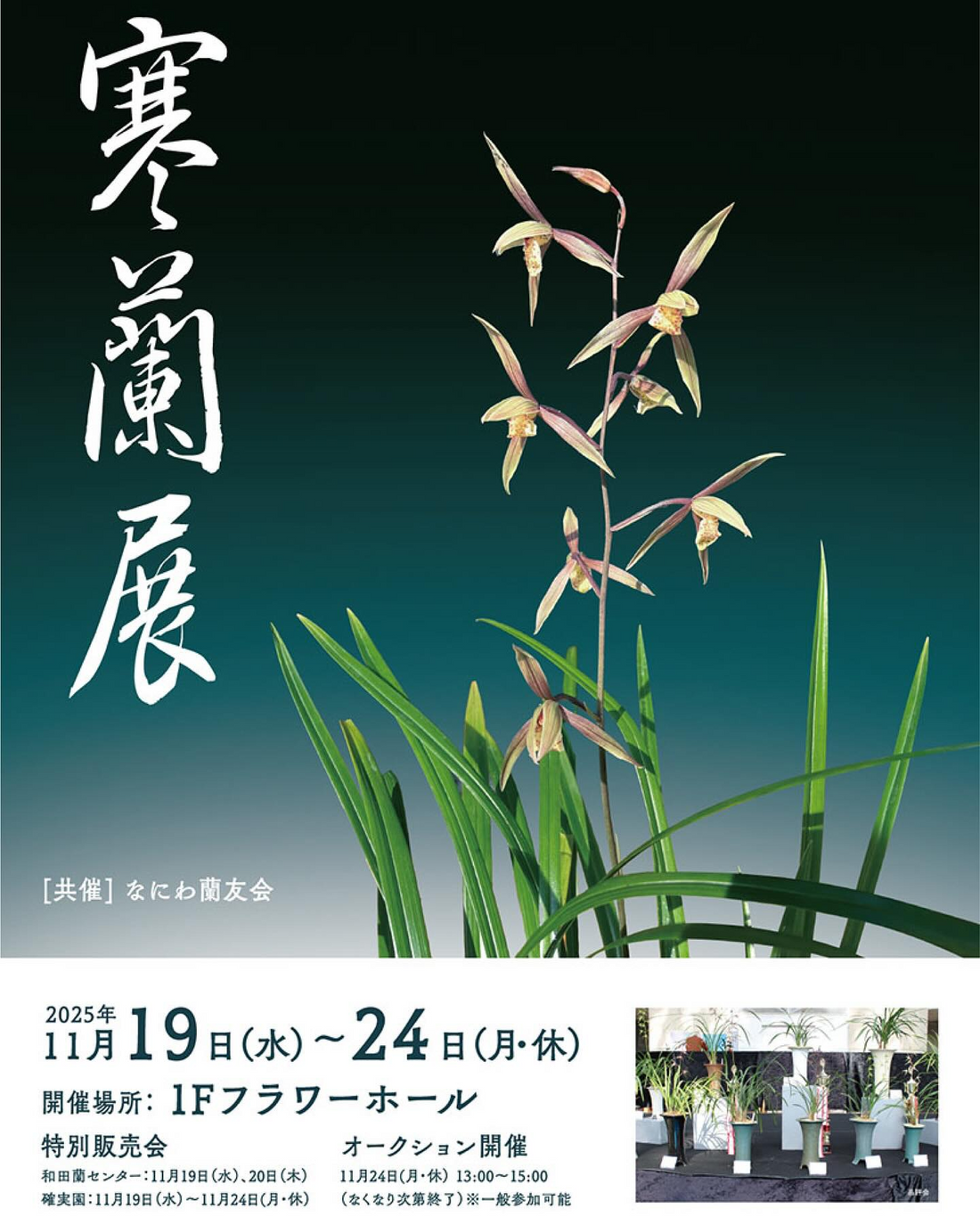 咲くやこの花館が寒蘭展2025を開催、日本の伝統園芸と特別販売会が大阪で集結