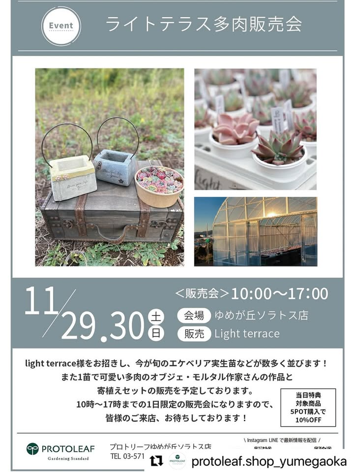 light terraceがライトテラス多肉販売会2025をPROTOLEAF プロトリーフゆめが丘ソラトス店で開催、多肉植物ビギナーからコレクターまで楽しめる特典付き販売会が横浜で実施