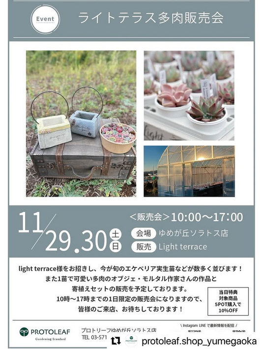 light terraceがライトテラス多肉販売会2025をPROTOLEAF プロトリーフゆめが丘ソラトス店で開催、多肉植物ビギナーからコレクターまで楽しめる特典付き販売会が横浜で実施