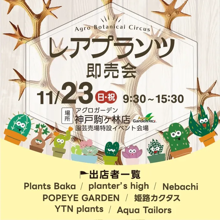 AgroBotanicalCircusレアプランツ即売会2025がアグロガーデン神戸駒ヶ林店で開催、多肉植物と塊根植物のラインナップが関西の愛好家の注目を集める