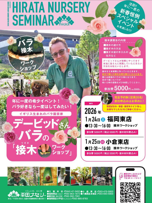 平田ナーセリーがHIRATANURSERYSEMINAR2026バラ接木ワークショップを開催、福岡東店FORESTと小倉東店でバラ愛好家の学びの場に