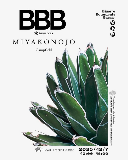 Bizarre Botanicals Bazaar SnowPeak MIYAKONOJO 2025がSnowPeak都城Campfieldで奇妙なボタニカルバザーを開催、BizarrePlantsとフードトラックが宮崎県都城市で植物愛好家の注目を集める