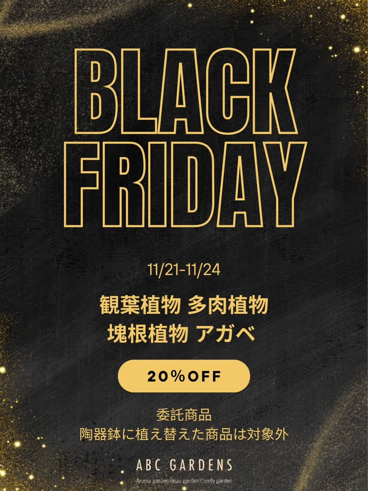 ABCガーデンズがBLACKFRIDAY2025セールを開催、観葉植物や多肉植物や塊根植物の割引企画が植物ファンの来店意欲を高める