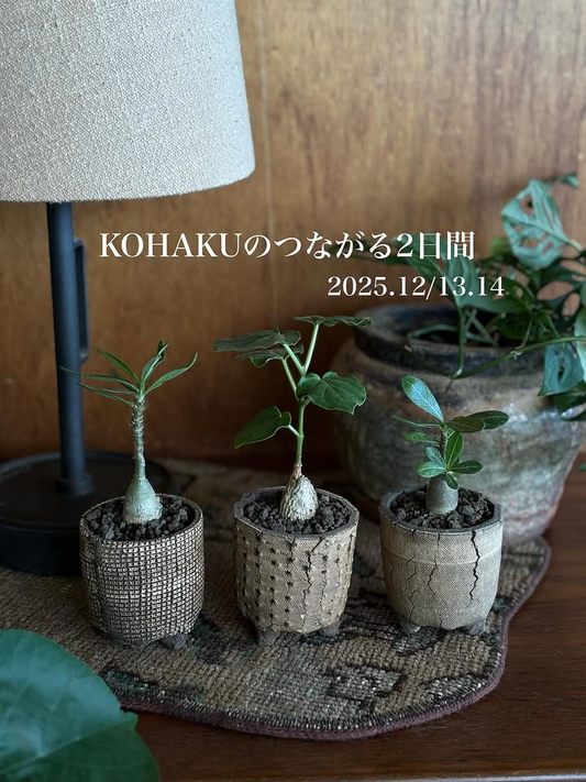 KOHAKUがKOHAKUのつながる2日間2025を開催、神戸のshop＆galleryでフードと雑貨と植物がつながる場に