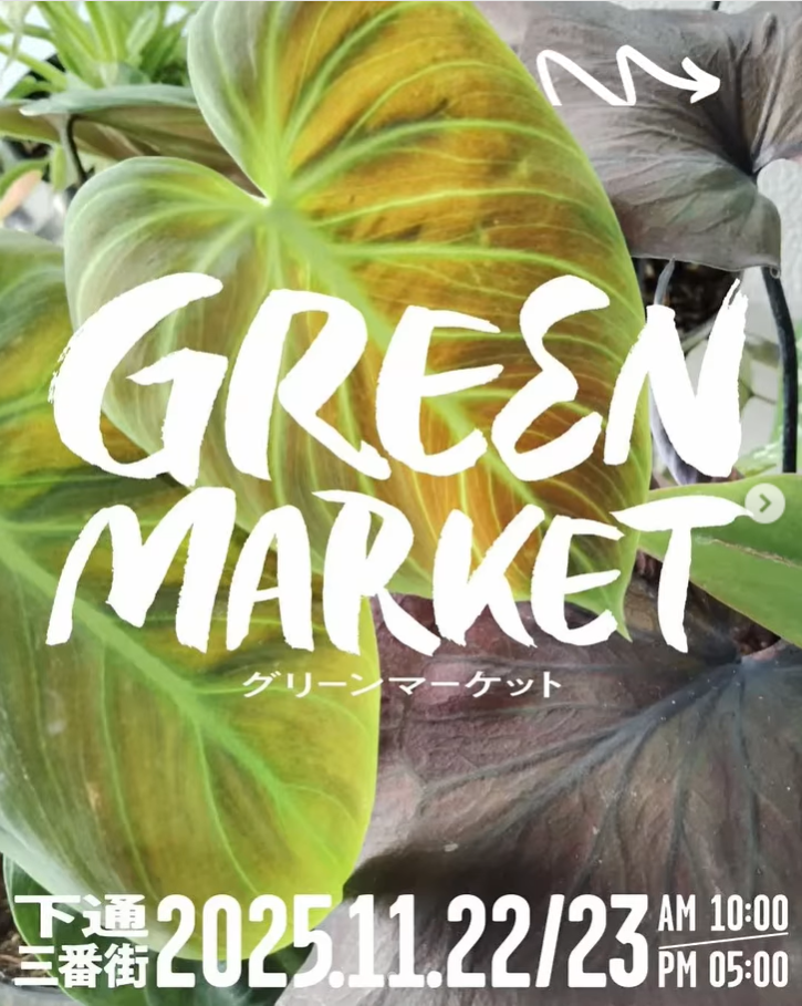 くまもと花博GREEN MARKET2025が下通3番街で観葉植物マルシェを開催、暮らしのグリーンが熊本市中心部の街なかに集まる