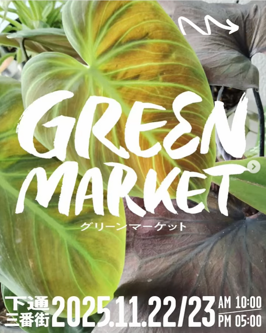 くまもと花博GREEN MARKET2025が下通3番街で観葉植物マルシェを開催、暮らしのグリーンが熊本市中心部の街なかに集まる