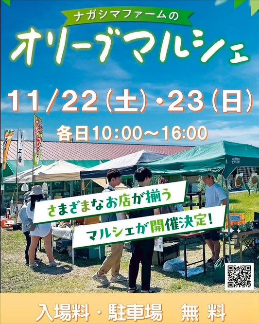 ナガシマファームのオリーブマルシェ2025に多肉専門店が出店しミニ苗バイキングや福袋企画で多肉愛好家と同業者の購入需要に応える