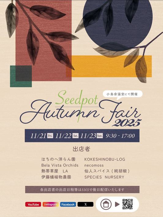 SeedpotがSeedpotAutumnFair2025を開催し洋らんと熱帯植物と純胡椒の専門店が関東の植物愛好家の注目を集める