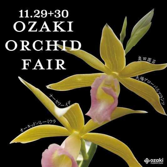 OZAKI ORCHID FAIR2025がオザキフラワーパークで専門家によるラン講習会を開催、多彩なテーマの無料セミナーが東京の植物愛好家の関心を集める