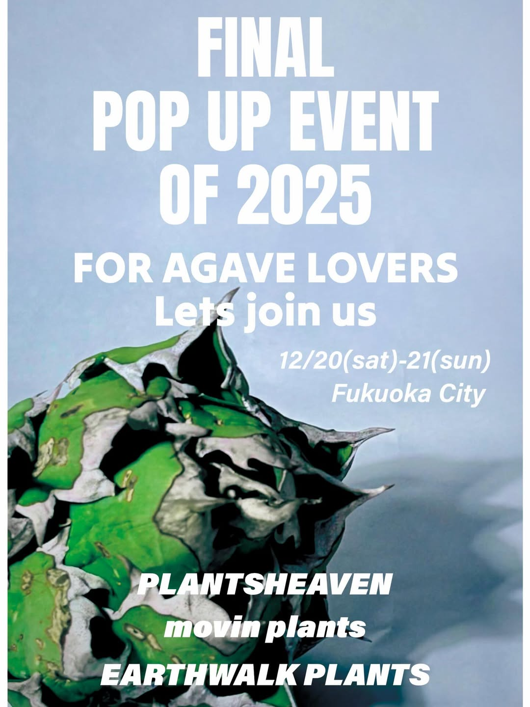 PLANTSHEAVENとmovin plantsとEARTHWALK PLANTSがFINAL POP UP EVENT OF 2025を開催、福岡市博多区でAgaveラバー向け年内ラストイベントが植友づくりの場になる