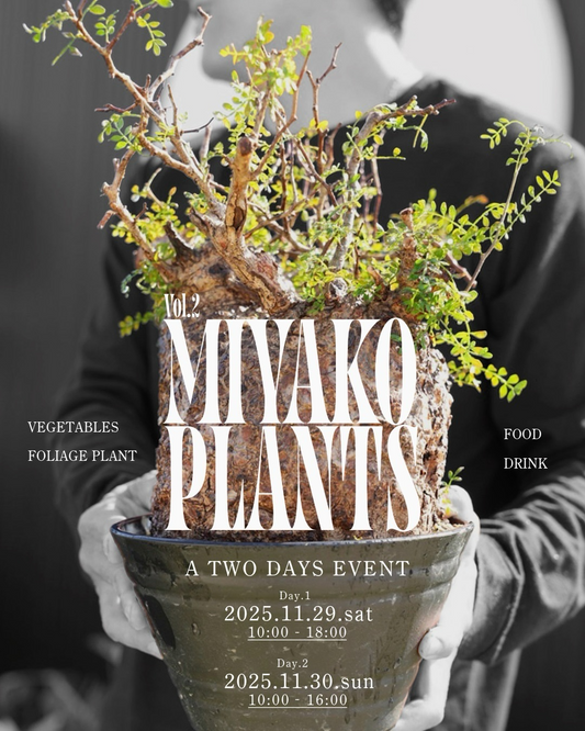 W-PLANTS.OKINAWAとGH FARMがMIYAKO PLANTS Vol.2 2025を開催、TORIKO FARM MIYAKOJIMAで世界の植物と多肉植物とフードの共演が宮古島の植物ファンの関心を集める