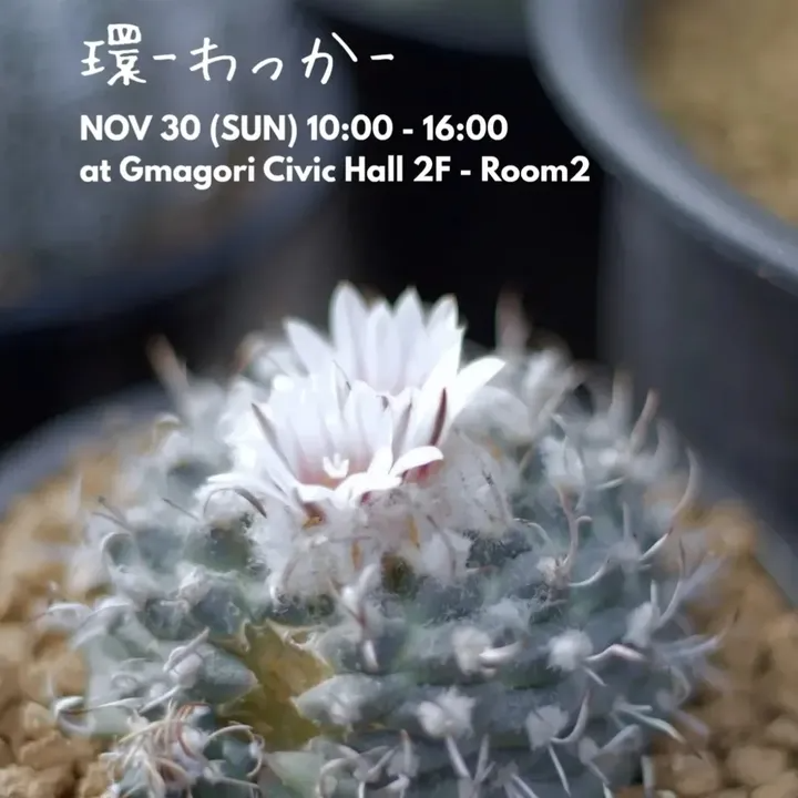 さんたま園らがサボテンと多肉植物イベント環-わっか-2025を開催、蒲郡市民会館で育て方の交流とミニオークションが行われる