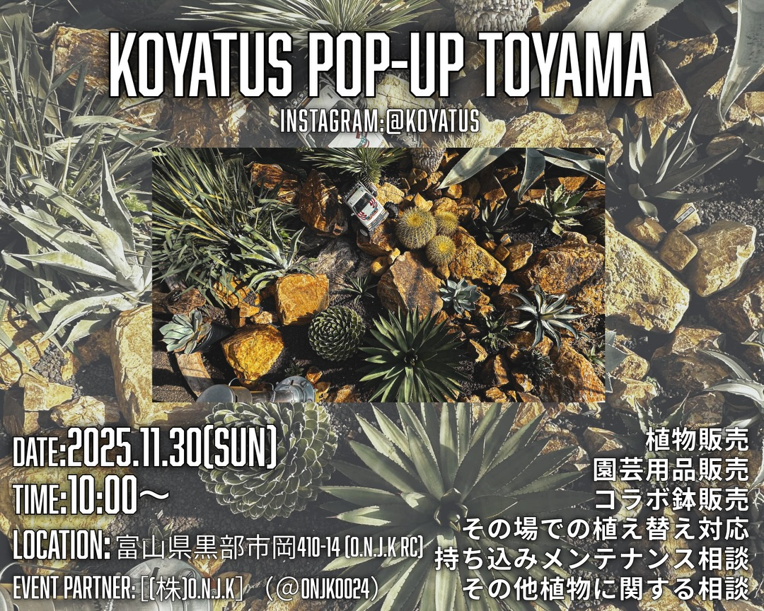 KOYATUSがKOYATUS POP-UP in 富山2025を開催、O.N.J.K RCで乾燥地帯系グリーン販売とドライガーデン相談を実施