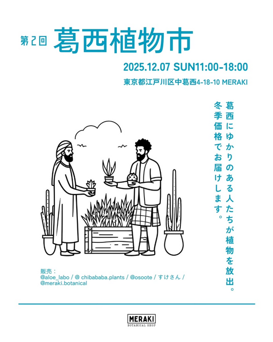 MERAKIBotanicalShopが第2回葛西植物市2025を開催、冬季価格の塊根植物や観葉植物販売が葛西の植物愛好家に届く