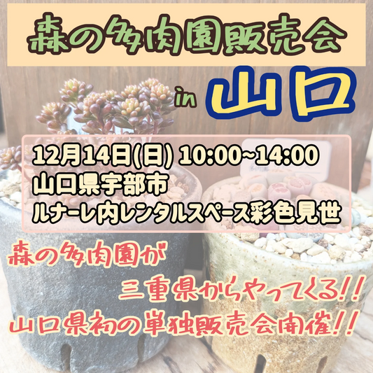 森の多肉園が第49回販売会in山口2025を開催、完全屋内会場とオリジナルスリット鉢が多肉愛好家の注目を集める