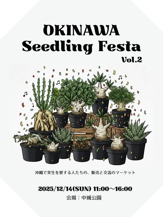 OKINAWA Seeding Festa Vol.2 2025が中城公園で実生マーケットを開催、実生株と珍奇植物の販売と交流が沖縄の植物愛好家の関心を集める