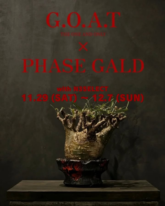 𝐆.𝐎.𝐀.𝐓とPHASEGALDがGODZILLA鉢即売会2025をN3SELECTで開催、福岡の作家鉢と植物愛好家の注目を集める
